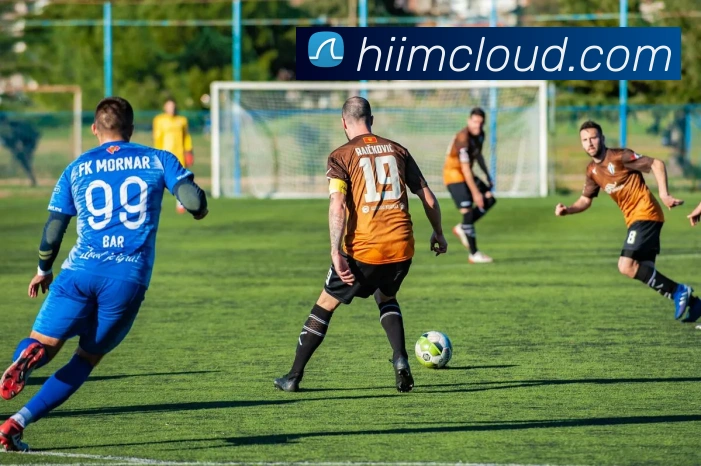 开云官方在线入口APP 封面图